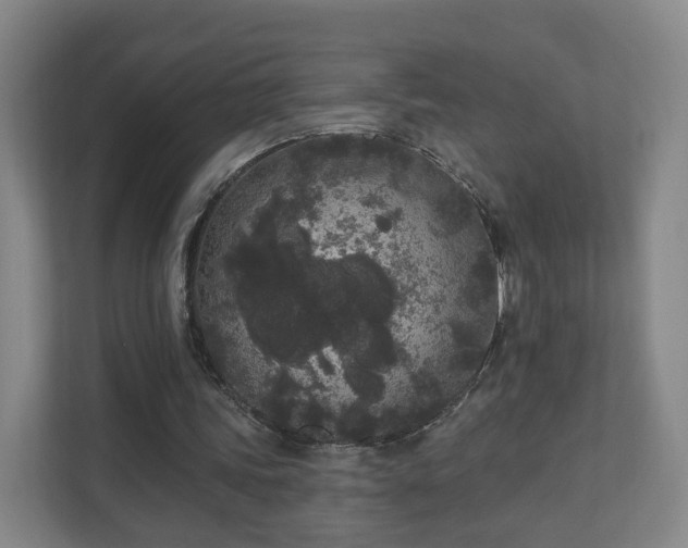 X0000110940339200906191235