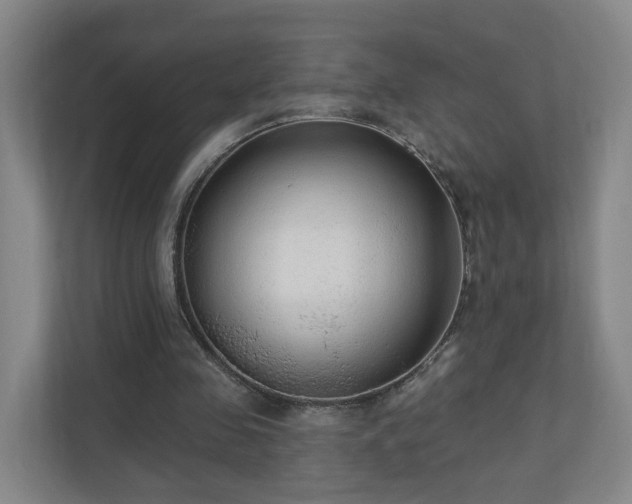 X0000110940341200906191235