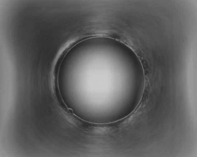 X0000110940342200906191235