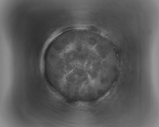 X0000110940343200906191235