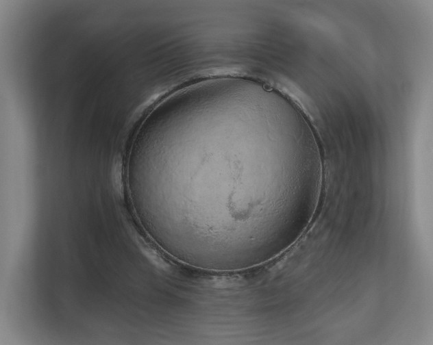 X0000110940345200906191235