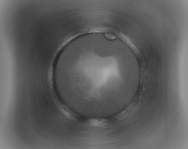 X0000110940346200906191235