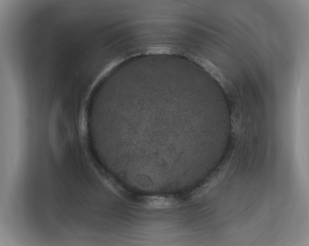 X0000110940347200906191235