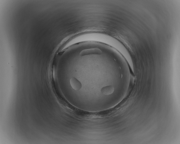 X0000110940348200906191235