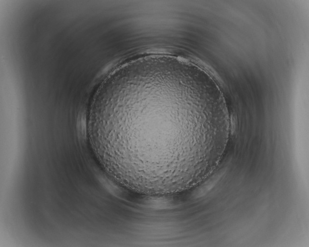 X0000110940349200906191235