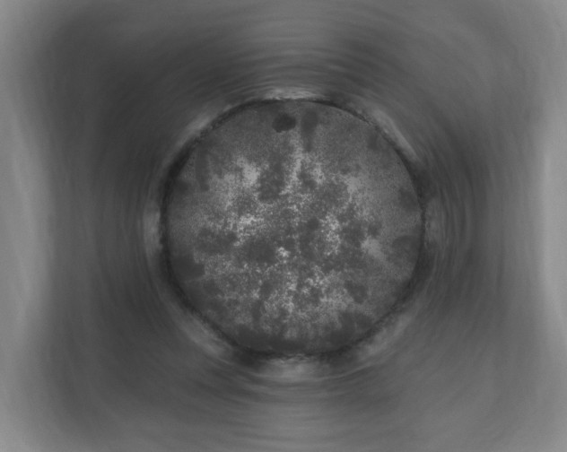 X0000110940351200906191235