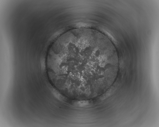 X0000110940353200906191235