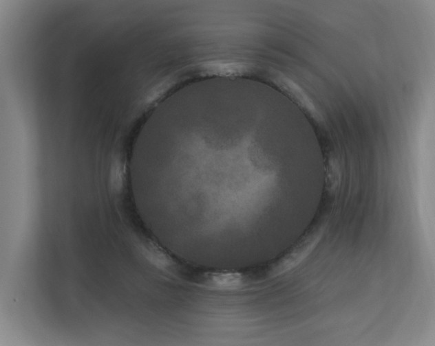 X0000110940355200906191235