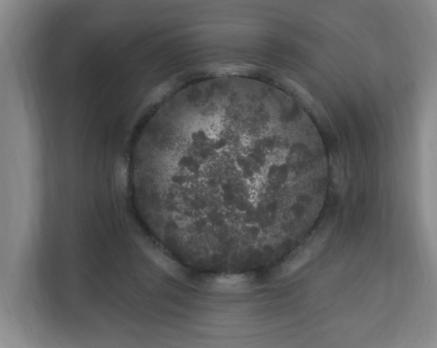 X0000110940357200906191235