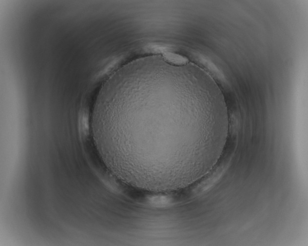 X0000110940358200906191235