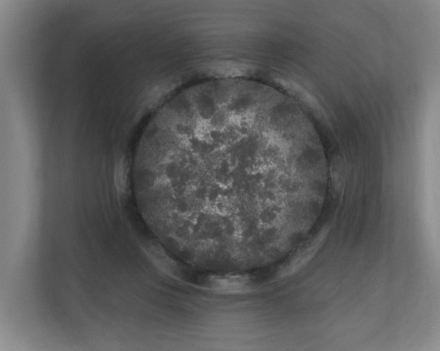 X0000110940359200906191235