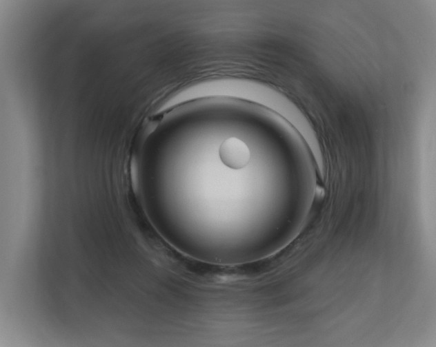 X0000110940360200906191235