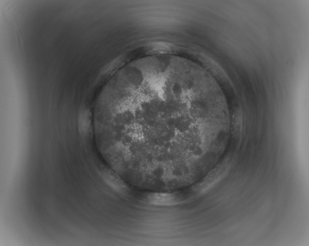 X0000110940361200906191235