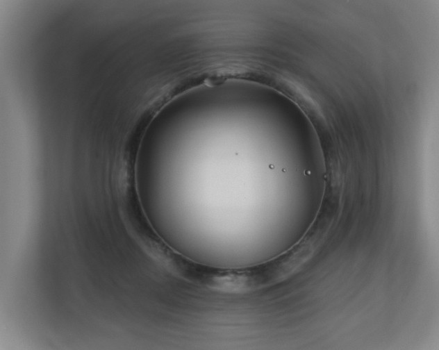 X0000110940362200906191235