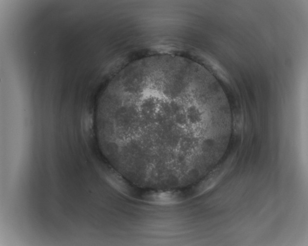 X0000110940365200906191235