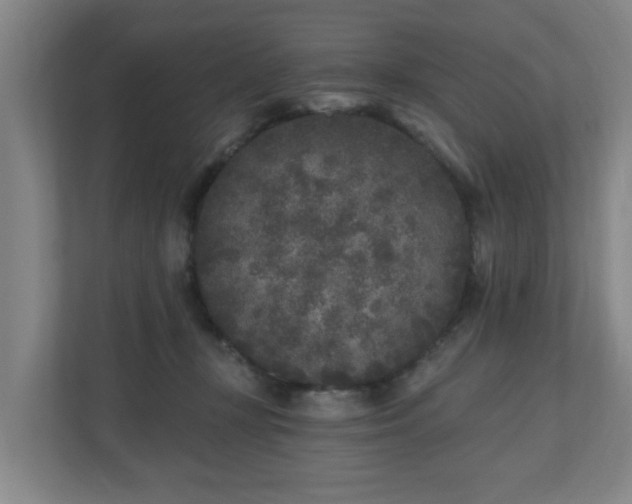 X0000110940367200906191235