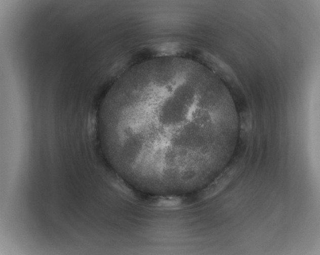 X0000110940369200906191235