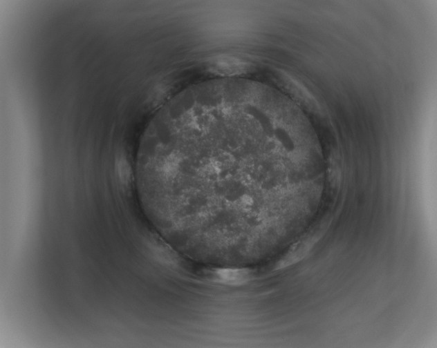 X0000110940371200906191235