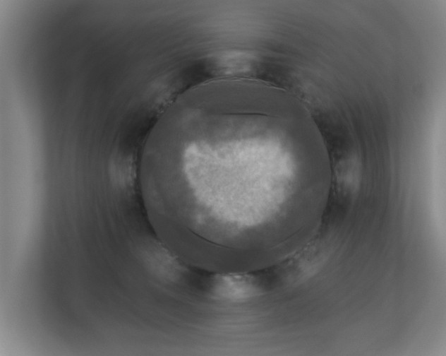 X0000110940372200906191235