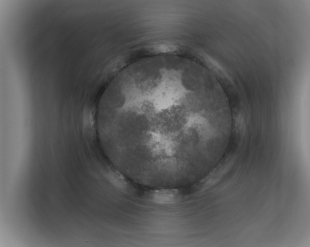 X0000110940373200906191235