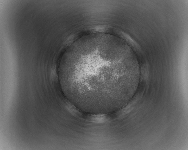 X0000110940377200906191235