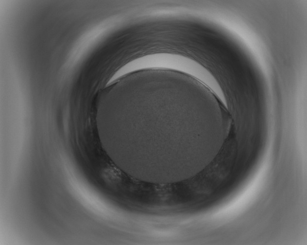 X0000110940382200906191235