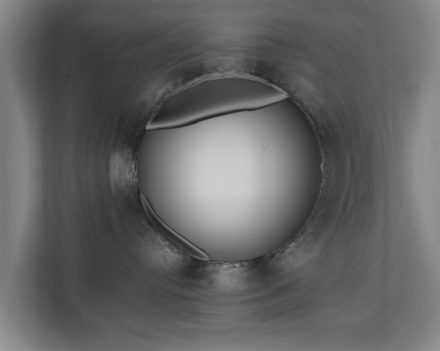 X0000110940384200906191235