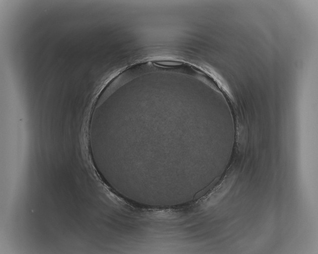 X0000110940385200906191235