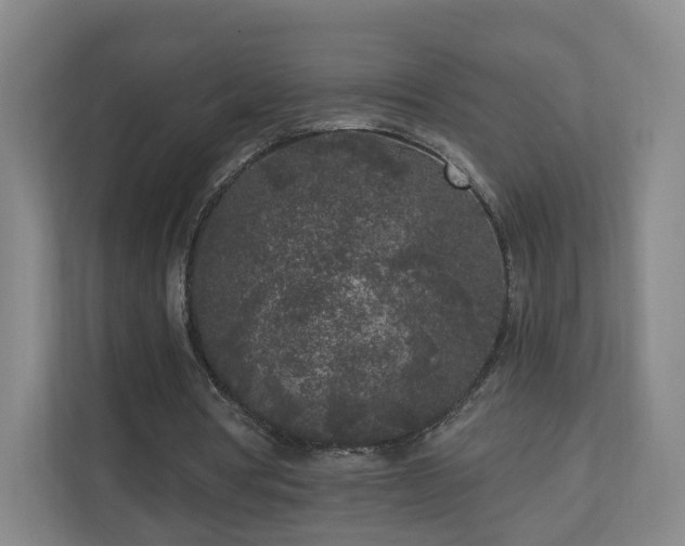 X0000110940386200906191235