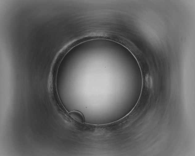 X0000110940388200906191235