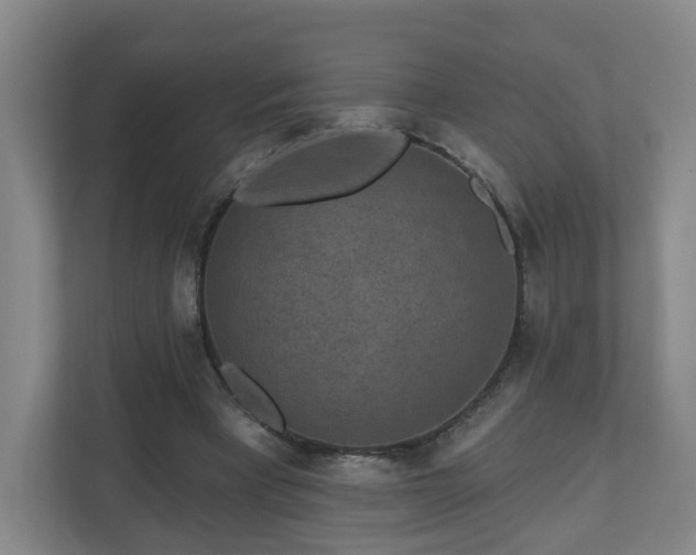 X0000110940393200906191235