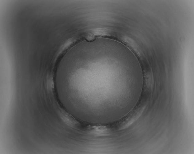 X0000110940395200906191235