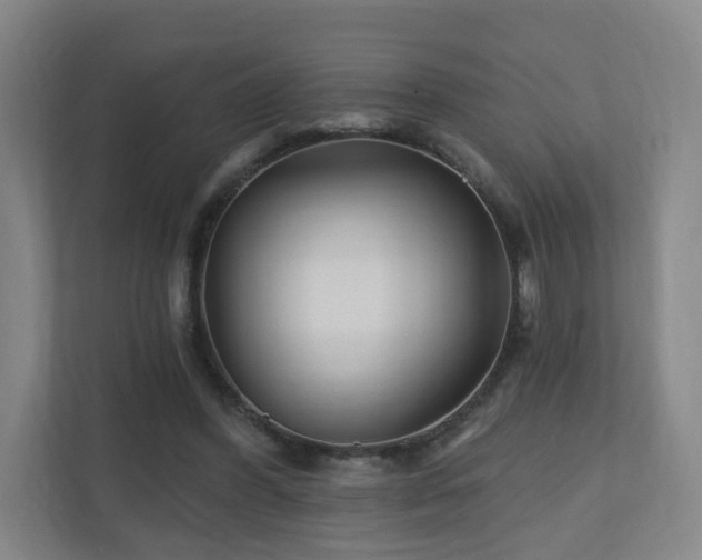 X0000110940396200906191235