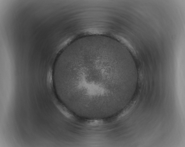 X0000110940398200906191235