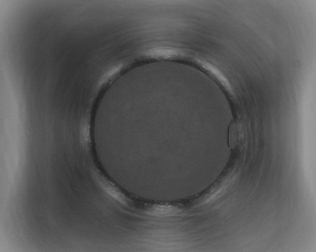 X0000110940399200906191235