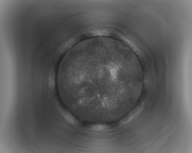 X0000110940402200906191235