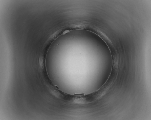 X0000110940403200906191235