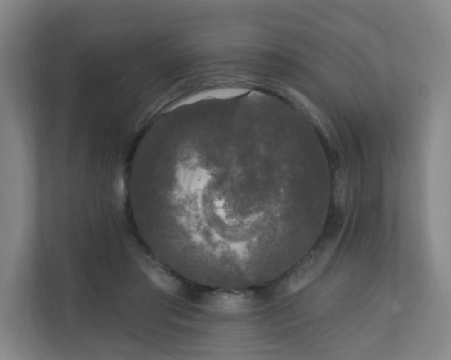 X0000110940405200906191235