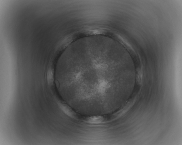 X0000110940410200906191234