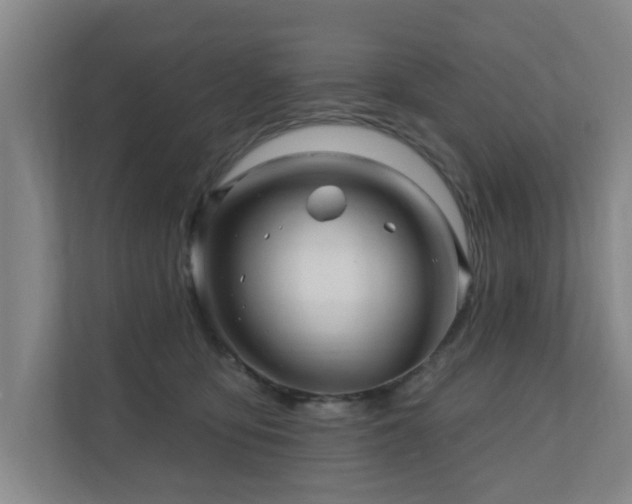 X0000110940419200906191234