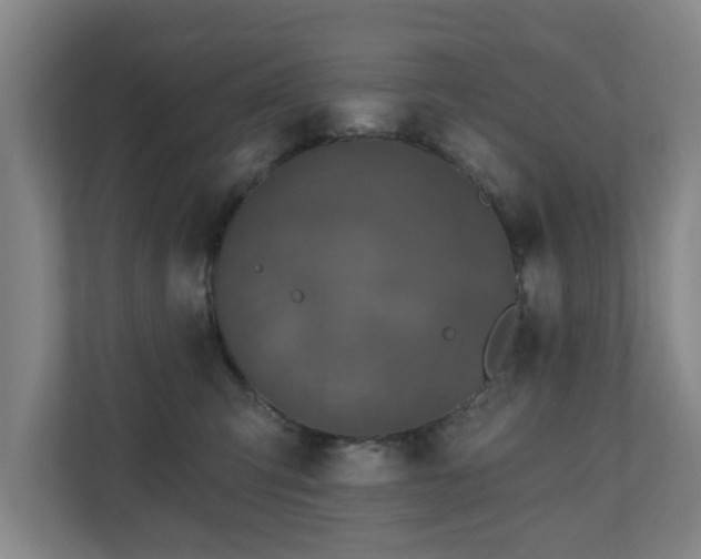 X0000110940423200906191234