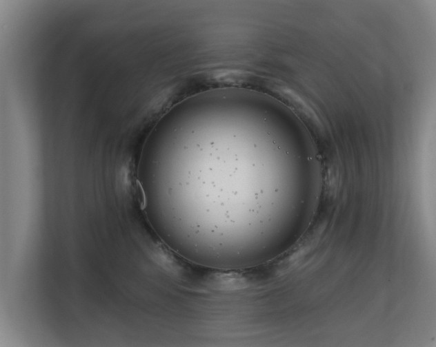 X0000110940424200906191234