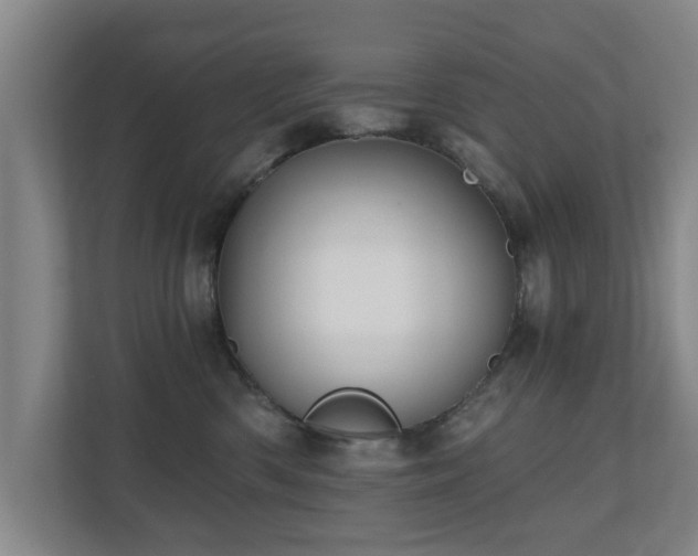 X0000110940426200906191234