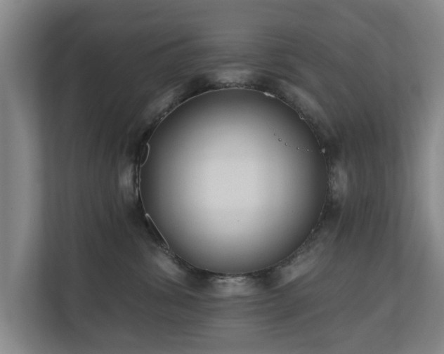 X0000110940428200906191234