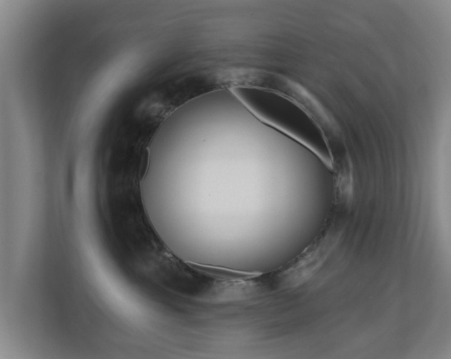 X0000110940429200906191234