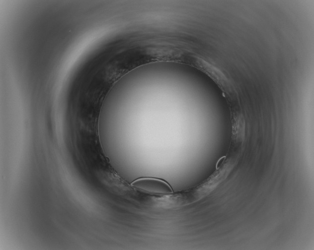 X0000110940430200906191234