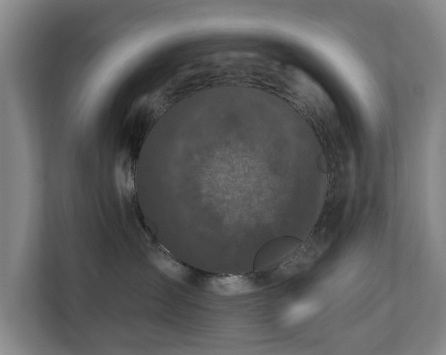 X0000110940431200906191234