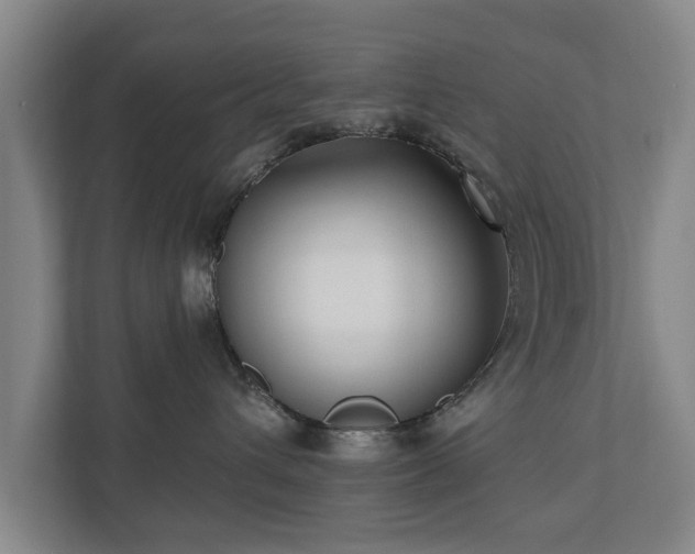 X0000110940432200906191234