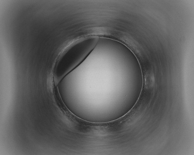 X0000110940436200906191234