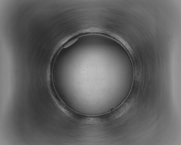 X0000110940437200906191234